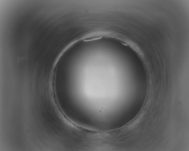 X0000083010912200702091247