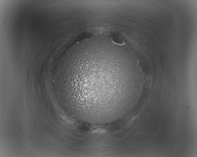 X0000083010913200702091246