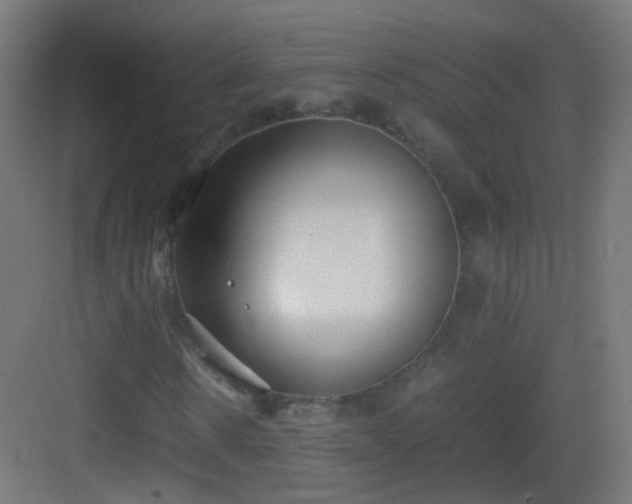 X0000083010914200702091246