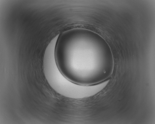 X0000083010916200702091246