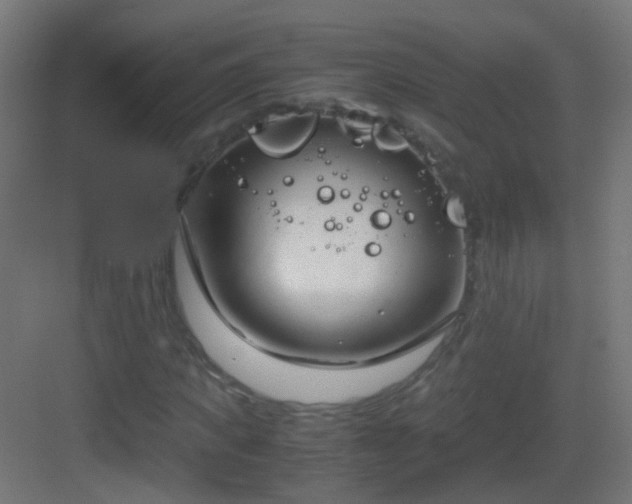 X0000083010917200702091246