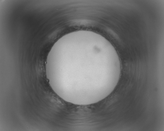 X0000083010918200702091246