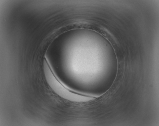 X0000083010919200702091246