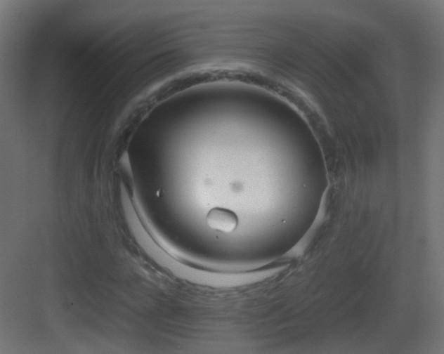 X0000083010920200702091246