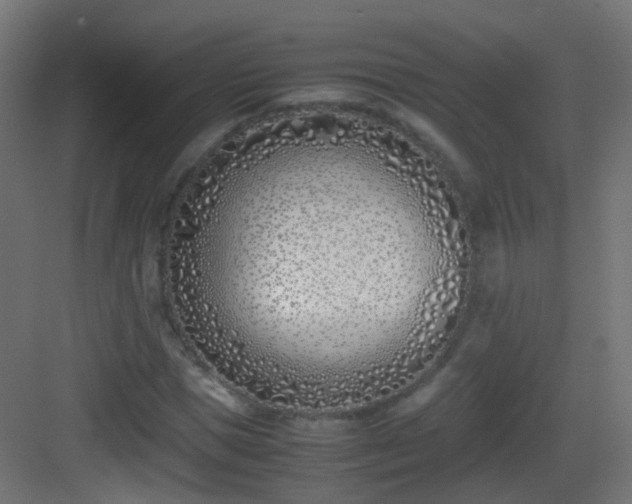 X0000083010921200702091247