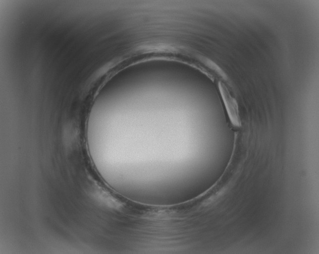 X0000083010922200702091247