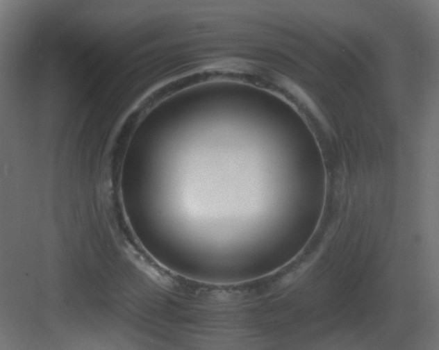 X0000083010923200702091247