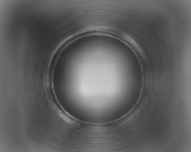 X0000083010924200702091247