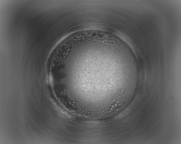 X0000083010925200702091247