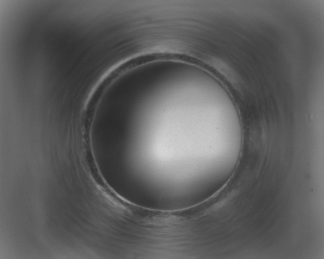 X0000083010926200702091247