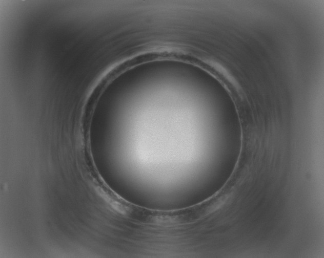 X0000083010927200702091247