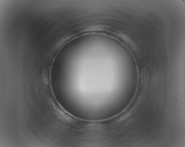 X0000083010929200702091247