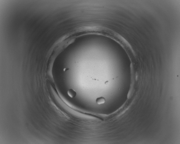 X0000083010930200702091247