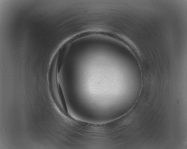 X0000083010935200702091247