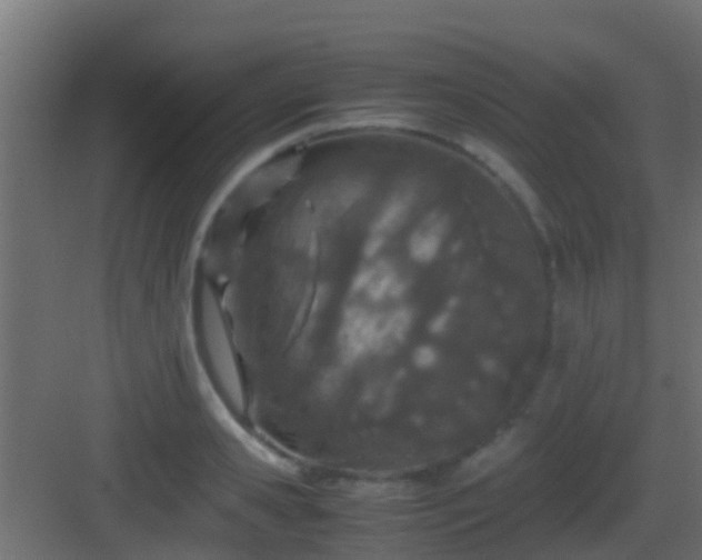 X0000083010941200702091247