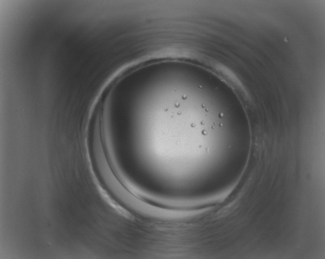 X0000083010942200702091247