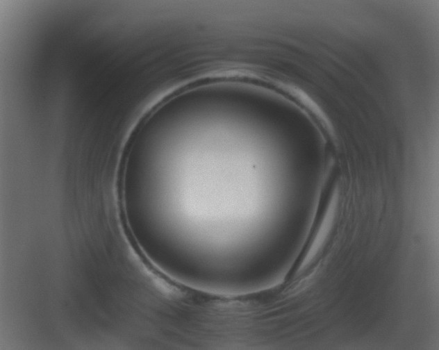 X0000083010943200702091247