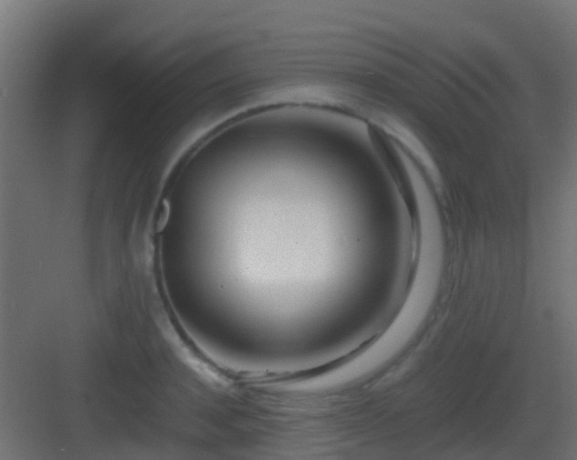 X0000083010944200702091247