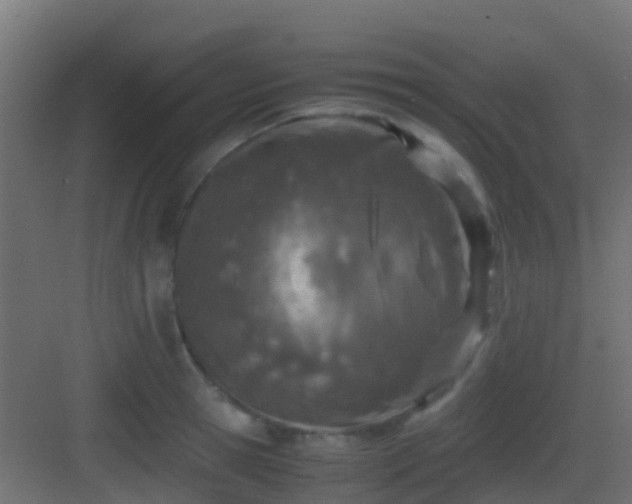 X0000083010945200702091247