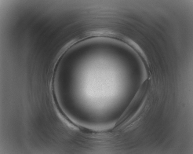 X0000083010946200702091247