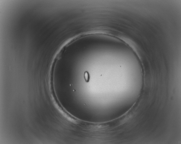 X0000083010949200702091247