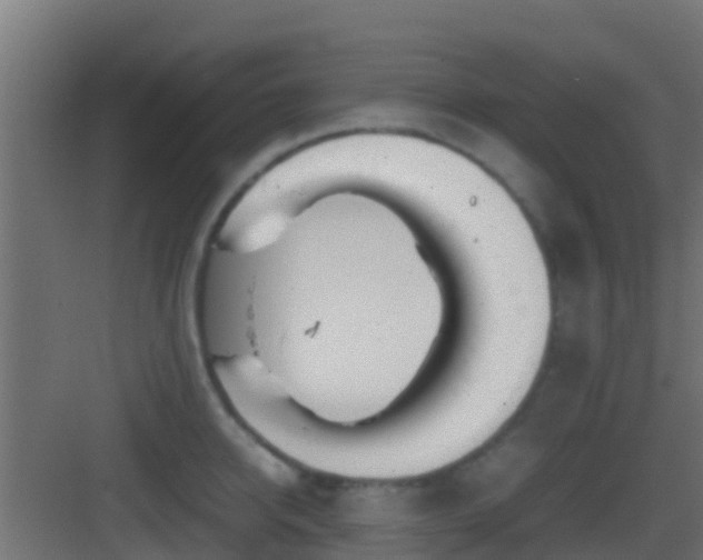 X0000083010950200702091247