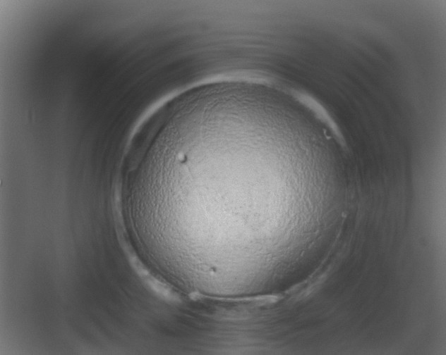 X0000083010952200702091247