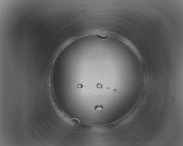 X0000083010954200702091247