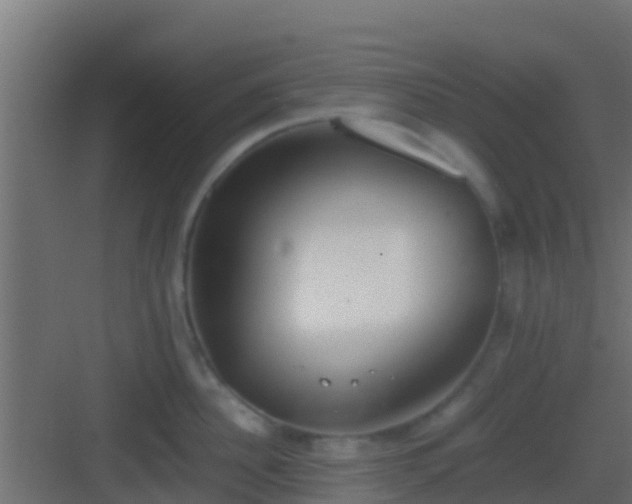 X0000083010956200702091247