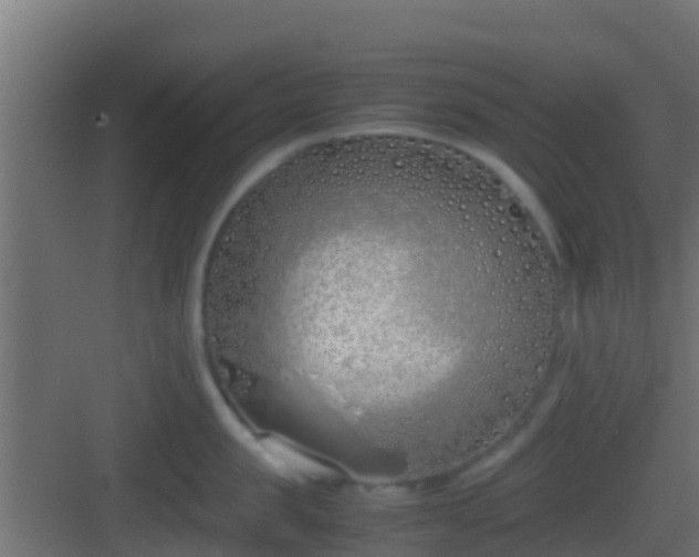 X0000083010957200702091247