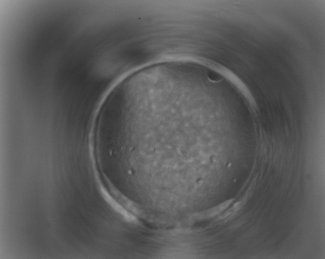 X0000083010958200702091247