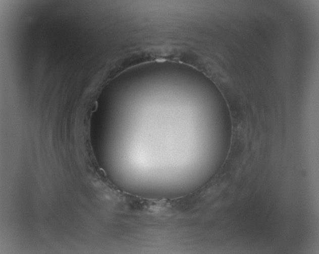 X0000083010961200702091246