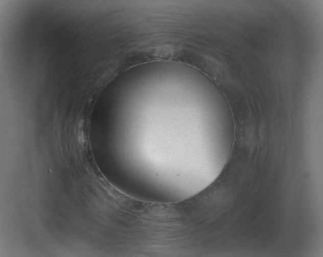 X0000083010962200702091246