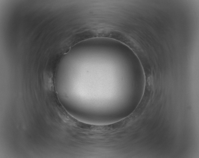 X0000083010963200702091246