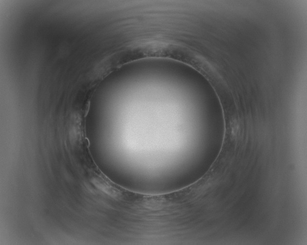 X0000083010964200702091246