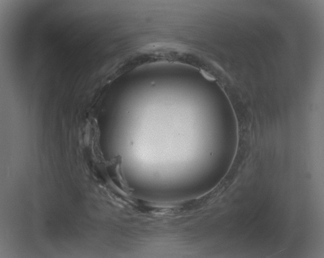 X0000083010965200702091246