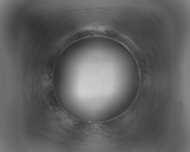 X0000083010966200702091246