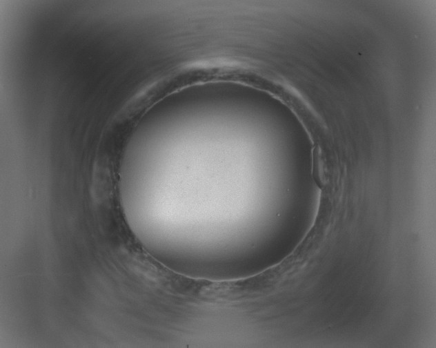 X0000083010967200702091246