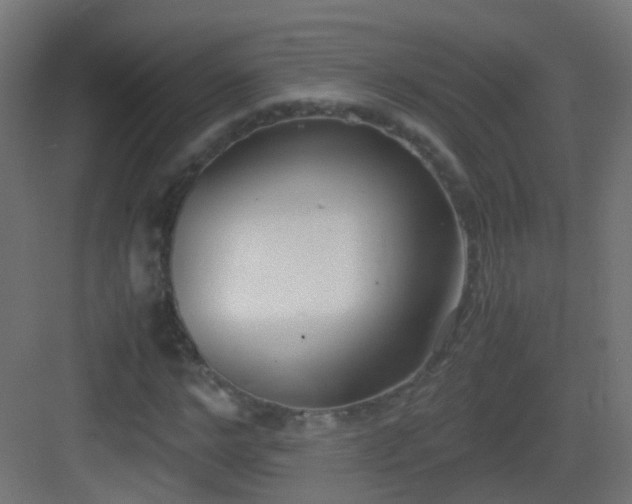 X0000083010968200702091246