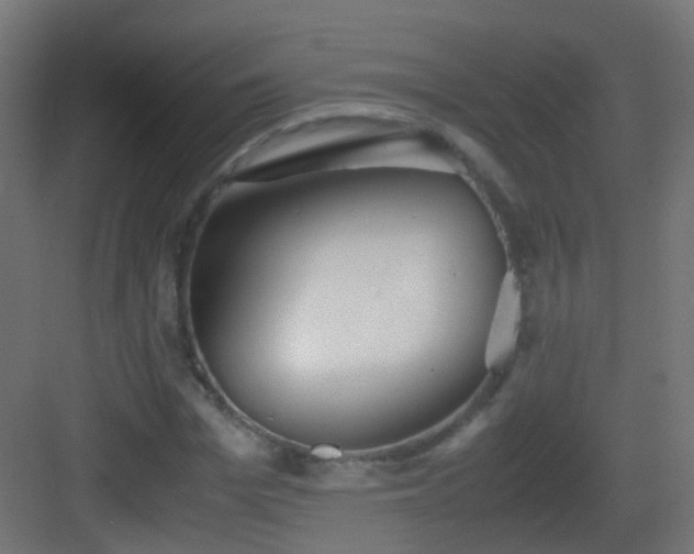 X0000083010969200702091246