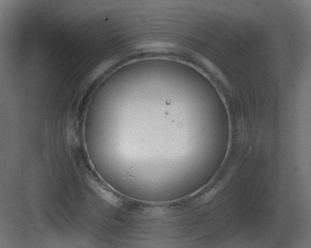 X0000083010970200702091246