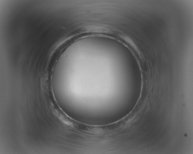 X0000083010971200702091246