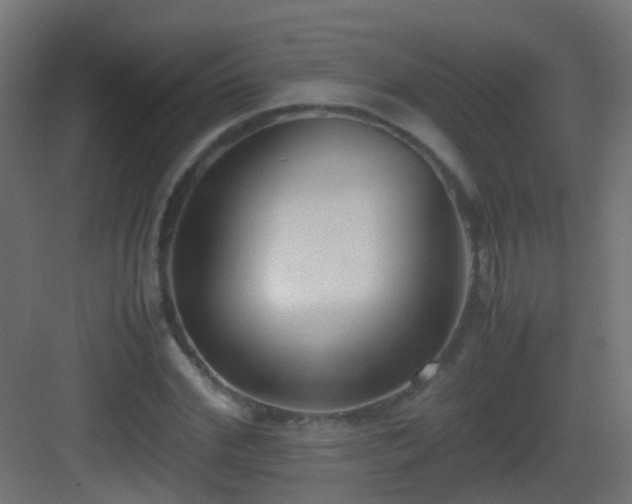 X0000083010972200702091246