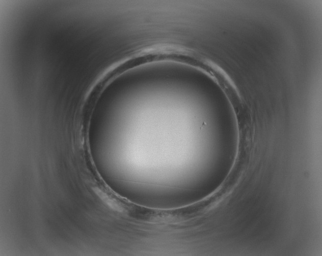 X0000083010973200702091246