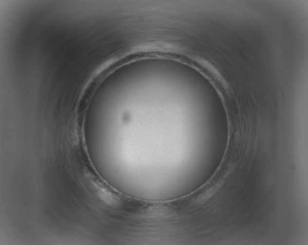 X0000083010974200702091246