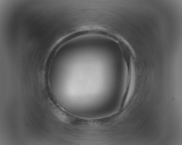 X0000083010975200702091246