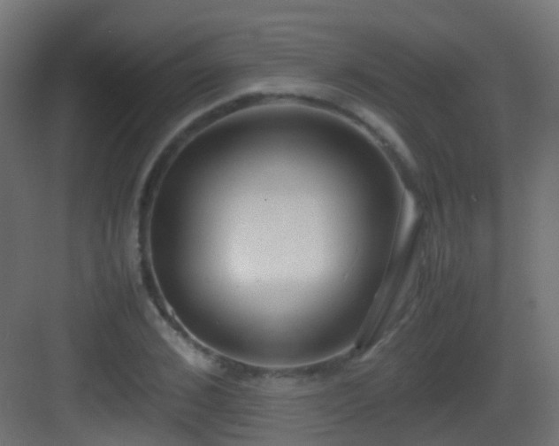 X0000083010976200702091246