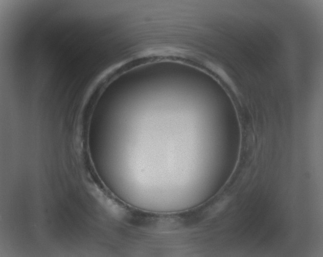 X0000083010979200702091246