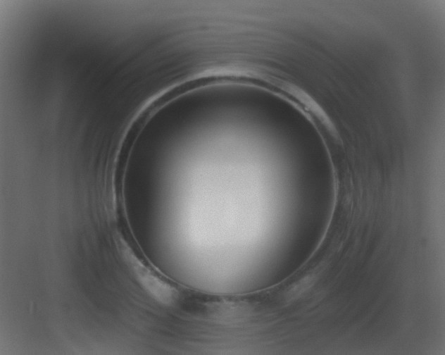 X0000083010980200702091246