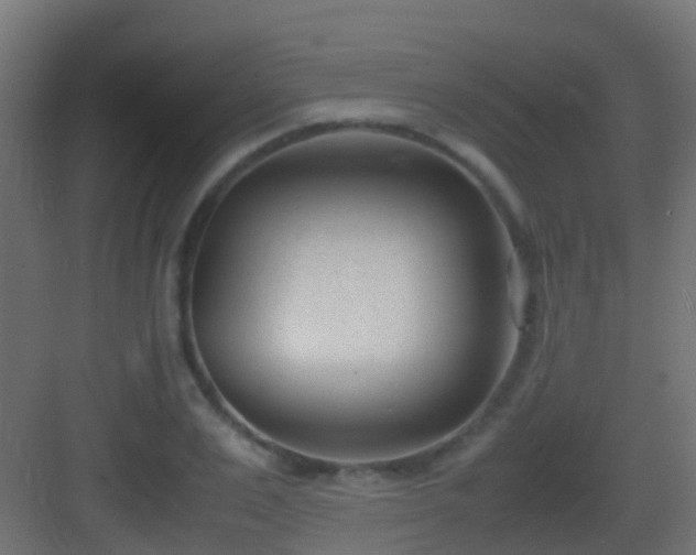 X0000083010983200702091246